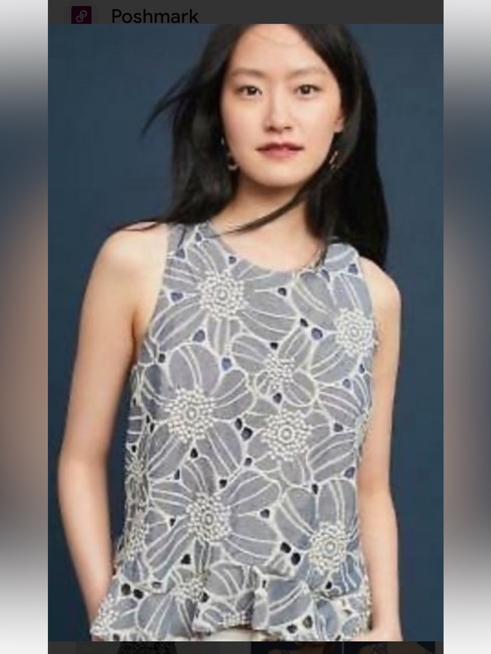 Anthropologie sunday in brooklyn embroidered chambray top
